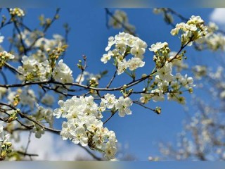 庐江天气预报15天，春日多变，出行需留意