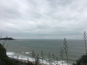 厦门下雨天影响旅游吗？一场雨中的别样风景