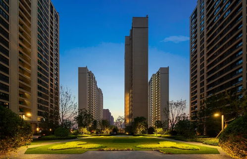 怎么下载正版免费资料-指尖上的风云，从全球天气查询看数字时代的掌中气象局