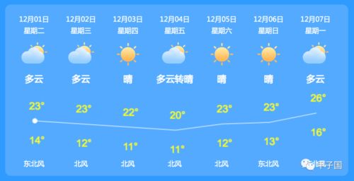 WELCOME登录网址-武汉今日天气，江城的雨雾与人间烟火