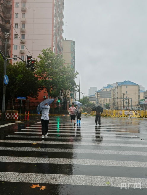 上海台风,风雨中的城市韧性 上海台风,风雨中的城市韧性
