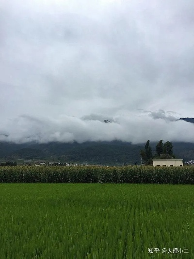 云南6月份是雨季吗？一文带你读懂云南的雨季规律