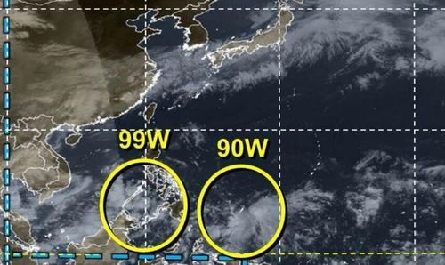 台风胚胎最新消息，南海热带扰动升级，华南需警惕强风雨