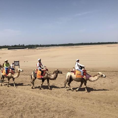 敦煌天气预报，沙漠中的时间刻度