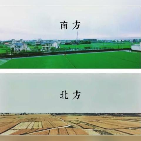 今年雨水情况怎样，从南涝北旱到极端频发，气候变局下的生存思考