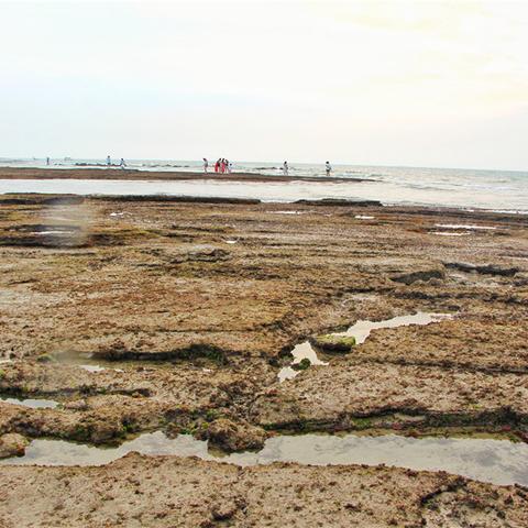 夏天去哪旅游最合适，逃离酷暑，寻找23℃的清凉夏天
