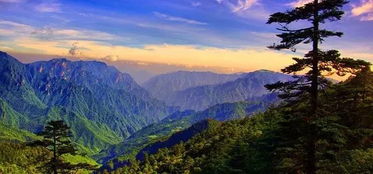 探秘北纬31°的绿色奇迹，神农架旅游全攻略