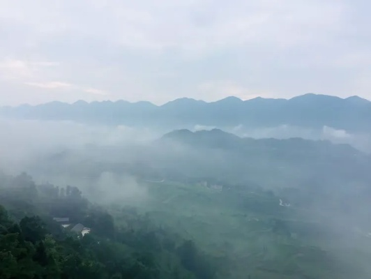 酉阳天气预报，山水之间的天气密码，你读对了吗？